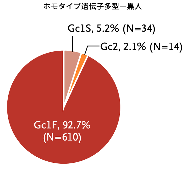 ホモタイプ遺伝子多型－黒人