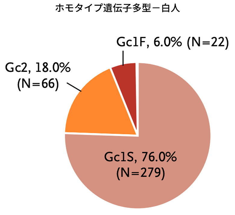 ホモタイプ遺伝子多型－白人